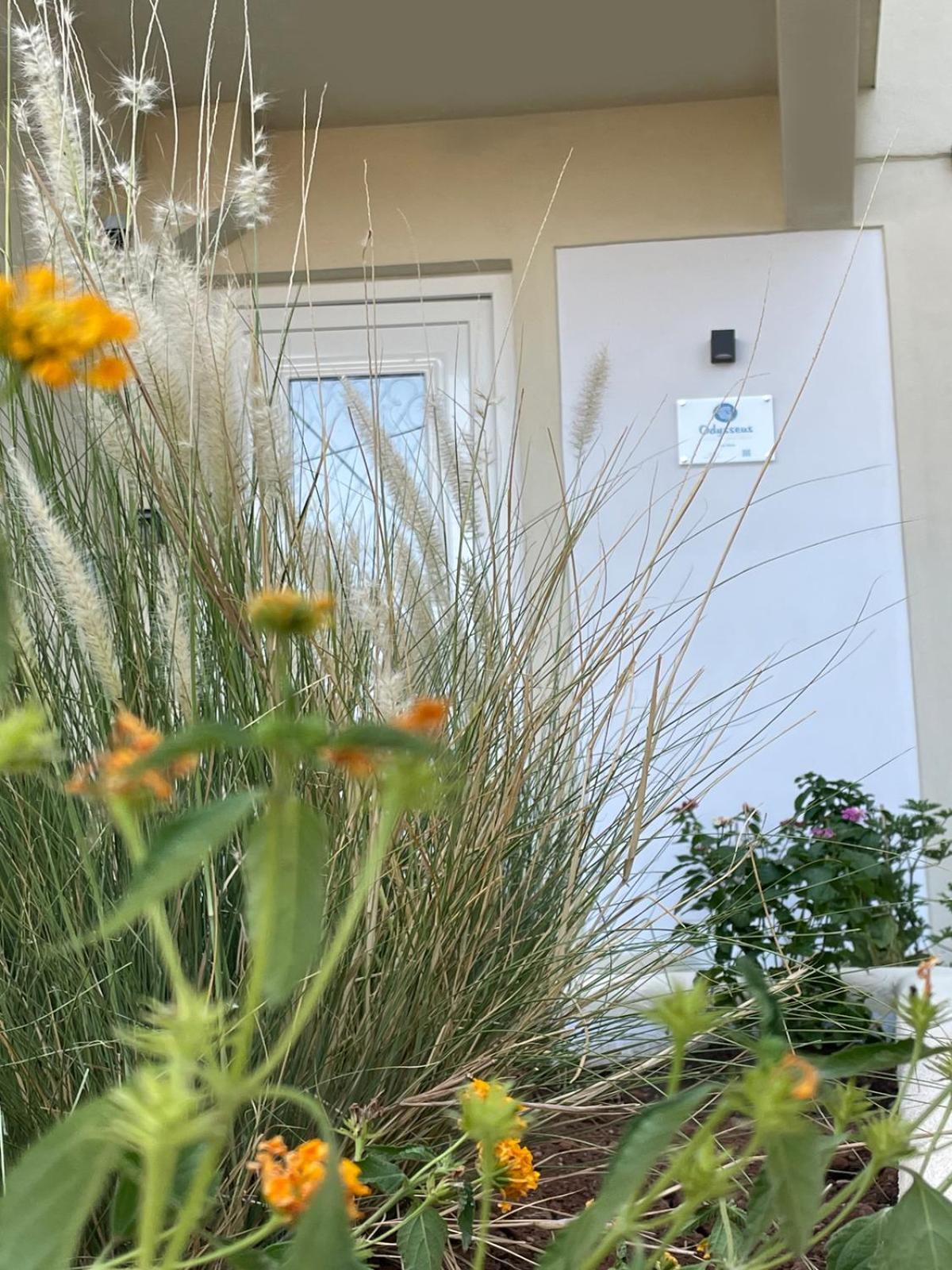 Odysseus Boutique Apartment 埃尔米奥尼 外观 照片